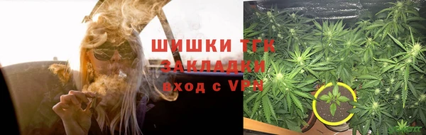 альфа пвп Новодвинск