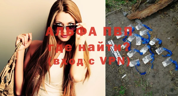 прущие грибы Новокубанск