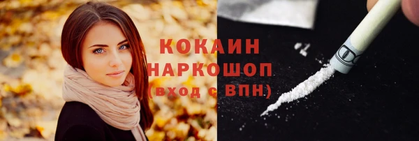 альфа пвп Новодвинск