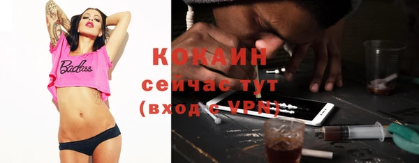 прущие грибы Новокубанск