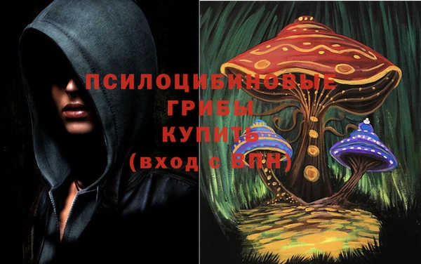 герыч Новозыбков