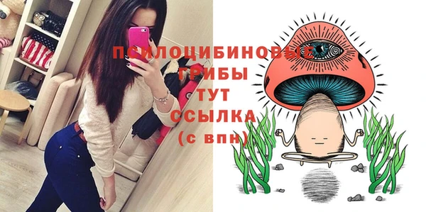 прущие грибы Новокубанск