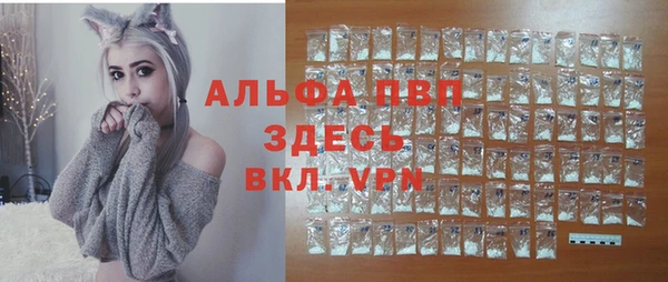 альфа пвп Новодвинск