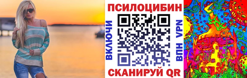 закладки  Отрадный  Галлюциногенные грибы Psilocybine cubensis 